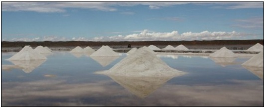 Kalahari Salz, ungebleicht