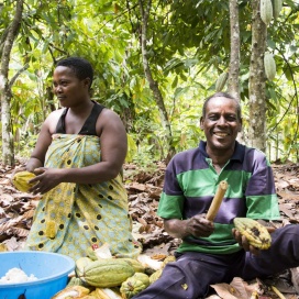 LATITUDE Uganda - Bukonzo Coffee, 70% Kakao 
