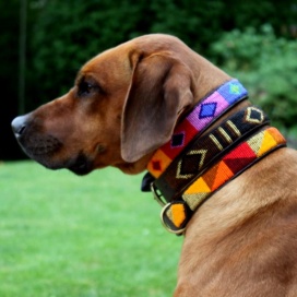 Hundehalsband - 3 cm Design 2  