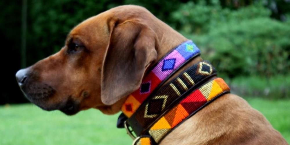 Kategoriebild der Kategorie “Perlenbesetzte Hundehalsbänder aus Rindleder”