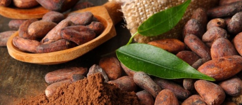 Kategoriebild der Kategorie “Schokolade und ZOTTER Adventkalender”