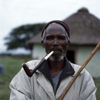  Artikelbild 1 des Artikels “Mud Chic “