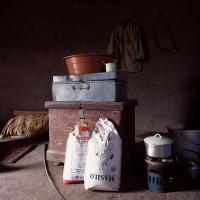  Artikelbild 1 des Artikels “Mud Chic “