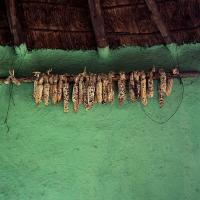  Artikelbild 1 des Artikels “Mud Chic “