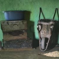  Artikelbild 1 des Artikels “Mud Chic “