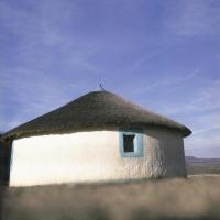  Artikelbild 1 des Artikels “Mud Chic “