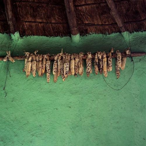 Artikelbild des Artikels “Mud Chic “