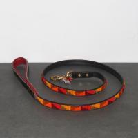  Artikelbild 2 des Artikels “Hundeleine - Design 5 “