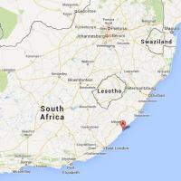  Artikelbild 2 des Artikels “Mud Chic “