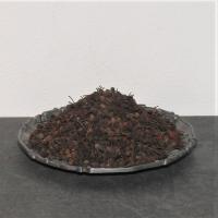  Artikelbild 2 des Artikels “Voatsiperifery Urwaldpfeffer  “