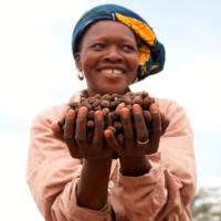  Artikelbild 3 des Artikels “Body Scrub “