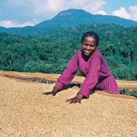  Artikelbild 3 des Artikels “Espresso, 100% Arabica “