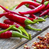  Artikelbild 4 des Artikels “Bird´s Eye Chili “