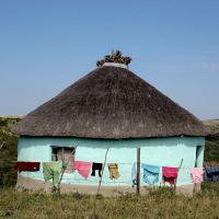  Artikelbild 4 des Artikels “Mud Chic “