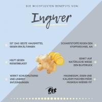  Artikelbild 4 des Artikels “Ingwer  “