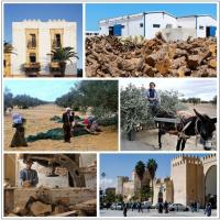  Artikelbild 4 des Artikels “2er Set Olivenholz Bretter “