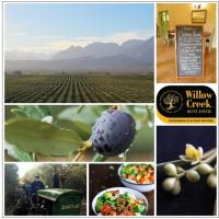  Artikelbild 4 des Artikels “Balsamico-Essig “