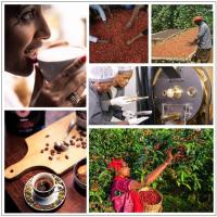  Artikelbild 4 des Artikels “Espresso, 100% Arabica “