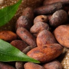 Geröstete Kakaobohnen