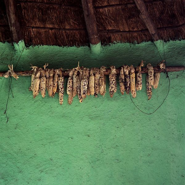  Artikelbild 1 des Artikels “Mud Chic “