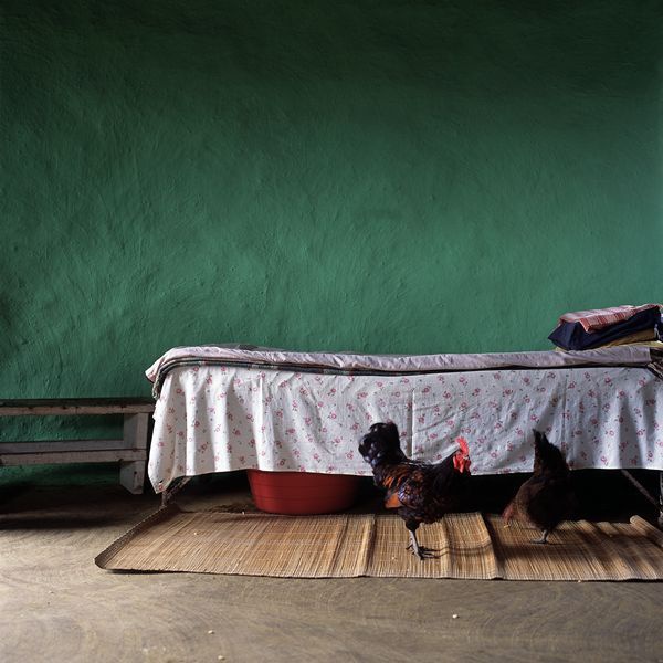  Artikelbild 1 des Artikels “Mud Chic “