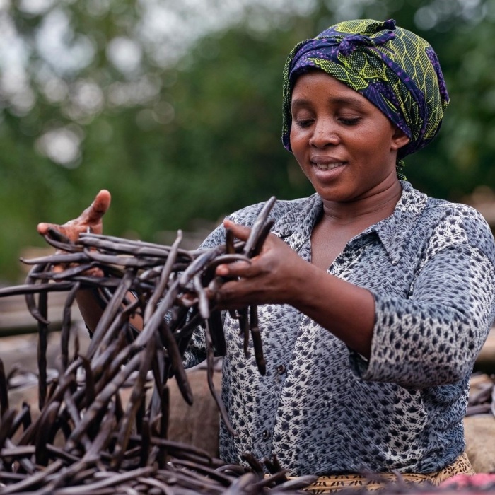  Artikelbild 3 des Artikels “Bourbon Vanille Extrakt  “