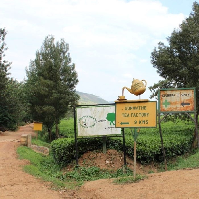  Artikelbild 3 des Artikels “Ruanda Rukeri OP Bio “