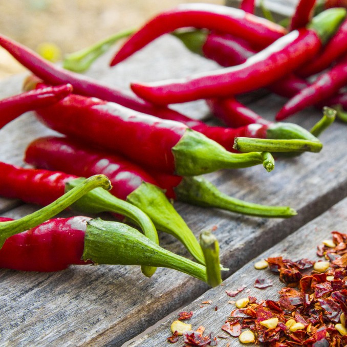  Artikelbild 4 des Artikels “Bird´s Eye Chili “