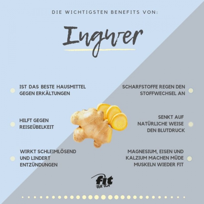  Artikelbild 4 des Artikels “Ingwer  “