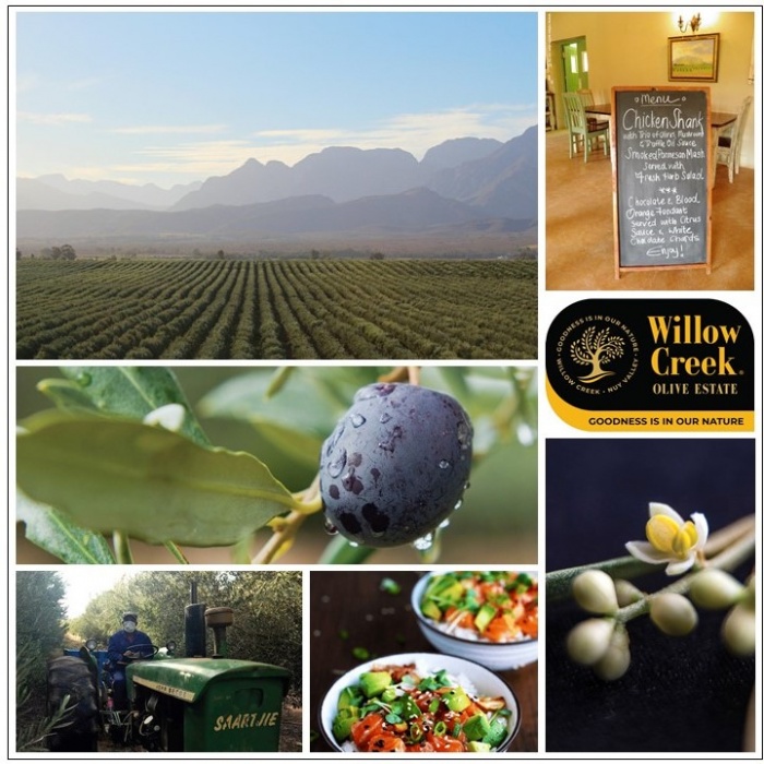  Artikelbild 4 des Artikels “Balsamico-Essig “