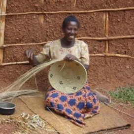  Artikelbild 6 des Artikels “Labongo “